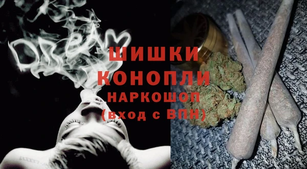 амф Гусиноозёрск