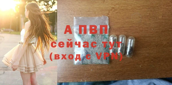 дмт Горняк
