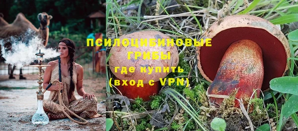 амф Гусиноозёрск