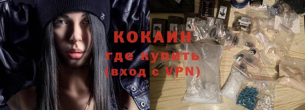 дмт Горняк